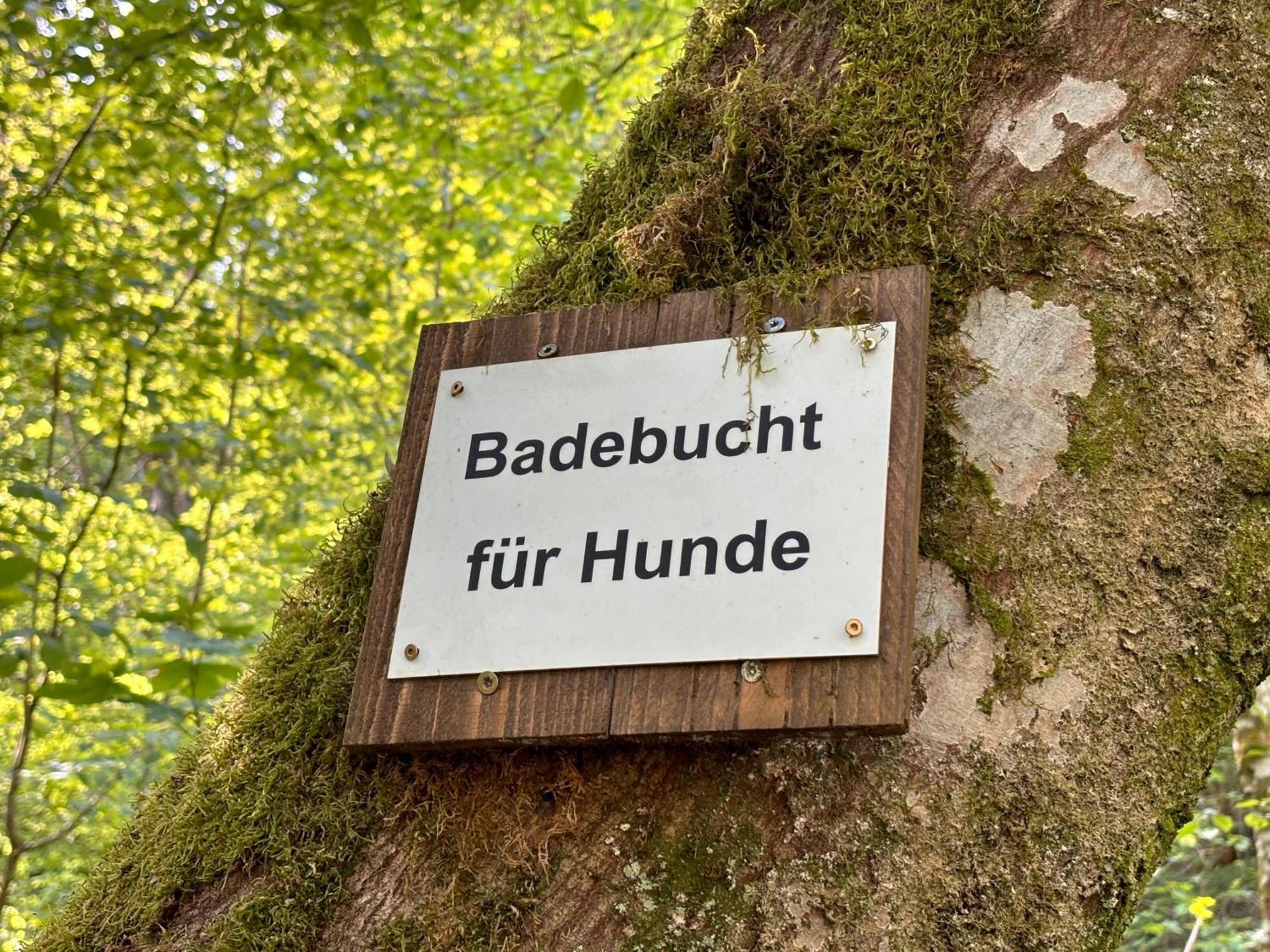 Plaetzchen Am Krebsberg Fuer Alle Fae Simmerath Exterior foto